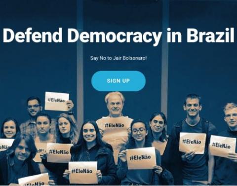 Screen grab of Defend Democracy in Brazil's petition 